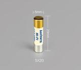 Aucharm Audiophile Silver Slow Blow Fuses