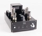 Musical Paradise MP-301 MK3 Mini Tube Amplifier