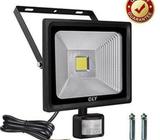 Motion Sensor Flood Light (CLY)