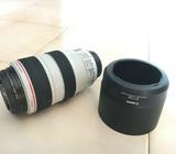 Canon EF 70-300mm f4-5.6L IS USM For Sale