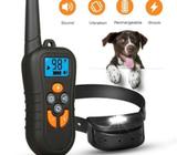 Dog Training Collar (M919C)