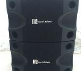 Martin Roland Karaoke speaker