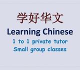 Professional Chinese Language Tutor