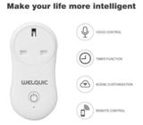WELQUIC WiFi Smart Plug Socket Remote Control Voice Control Socket with Timer Scene Setting USB Port