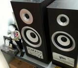 Karaoke speaker
