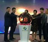 LED ball ceremonial item Height1.2m