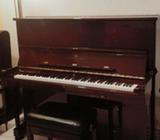 STEINWAY CROWN JEWEL K-132