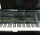YAMAHA Pianos for sale in Singapore