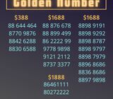 Golden Number