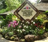 Orchid Garden cheap ticket discount promotion National Orchid Garden Universal Studios Adventure cov